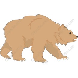 Majestic Bear