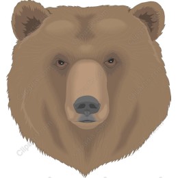 Majestic Bear Head