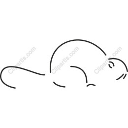 Minimalist Beaver