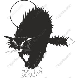 Fierce Black Cat