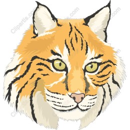 Majestic Tiger Head