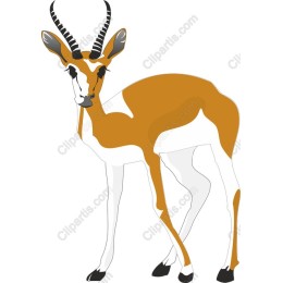 Elegant Antelope