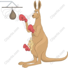 Boxing Kangaroo