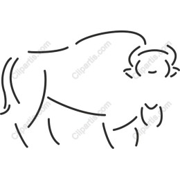 Buffalo Minimalist