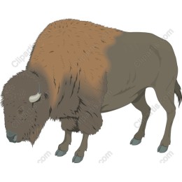Majestic Bison