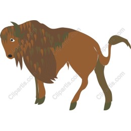 Bison