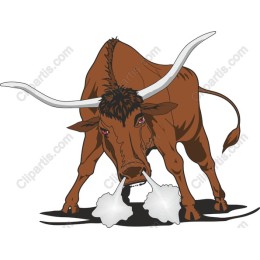 Longhorn Bull