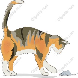 Playful Cat and Mouse