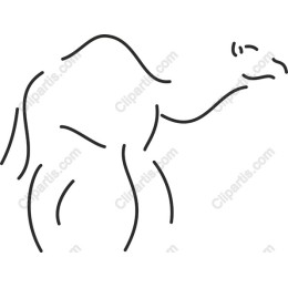 Minimalist Camel