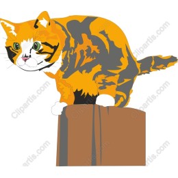 Vibrant Feline Playfulness