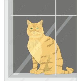 Golden Tabby Cat by the Window