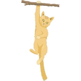 Hanging Cat