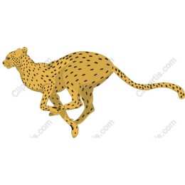 Dynamic Cheetah