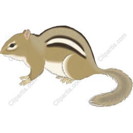 Charming Chipmunk