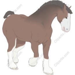 Majestic Clydesdale Horse