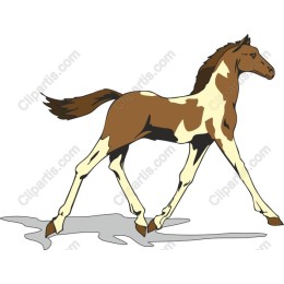 Charming Walking Horse