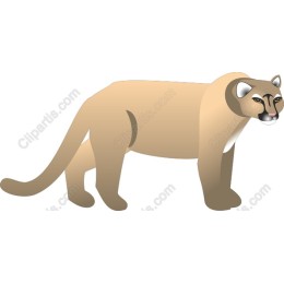 Mountain Lion