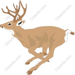 Leaping Deer