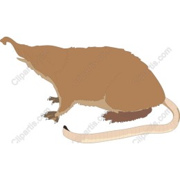 Unique Mammal