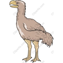 Whimsical Bird