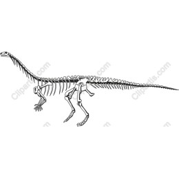 Dinosaur Skeleton