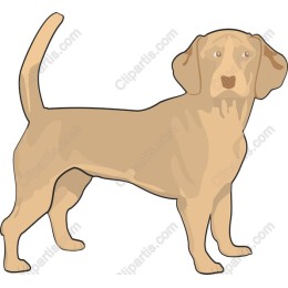 Golden Dog for Creative Projects