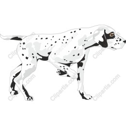 Dalmatian - Dynamic Pet