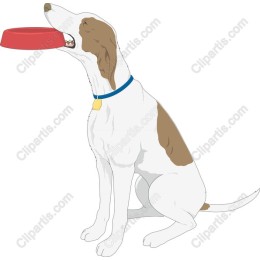 Cheerful Dog Holding Frisbee