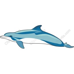 Dolphin - Oceanic Delight