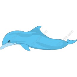 Vibrant Dolphin