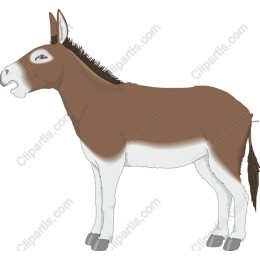 Charming Donkey