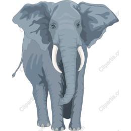 Majestic Elephant