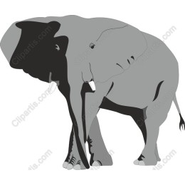 Majestic Elephant