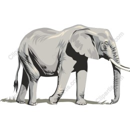 Majestic Elephant
