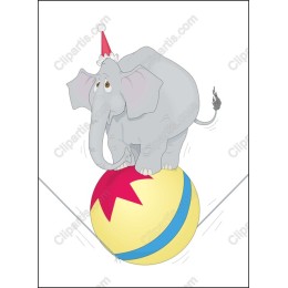 Circus Elephant on Beach Ball