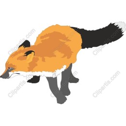 Vibrant Fox