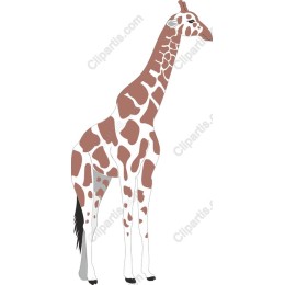 Elegant Giraffe
