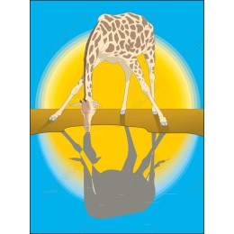 Serene Giraffe Water Reflection