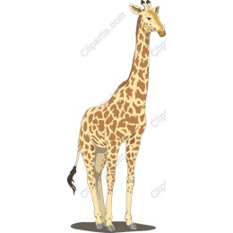 Charming Giraffe