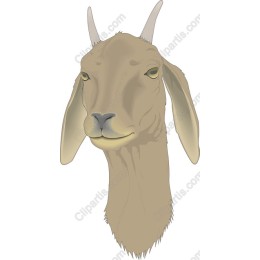 Goat Head