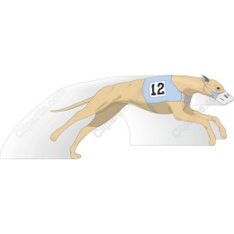 Dynamic Greyhound Racing