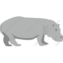 Hippos