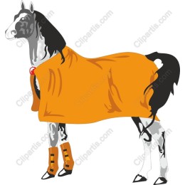 Sophisticated Horse with Orange Blanket