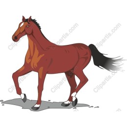 Spirited Horse