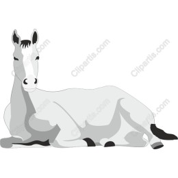 Elegant Horse