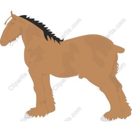 Majestic Draft Horse