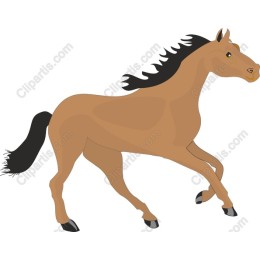 Elegant Galloping Horse