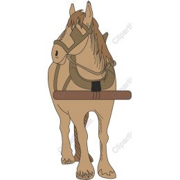 Majestic Horse