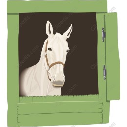 White Horse Peeking from Barn Window