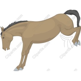 Majestic Horse Jump